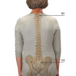 Spinal plus 2 Νάρθηκας Κορμού σε Γκρι Χρώμα Ortholand 
